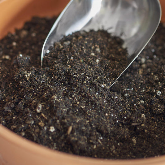 Potting Soil - Puck for Indoor Plant