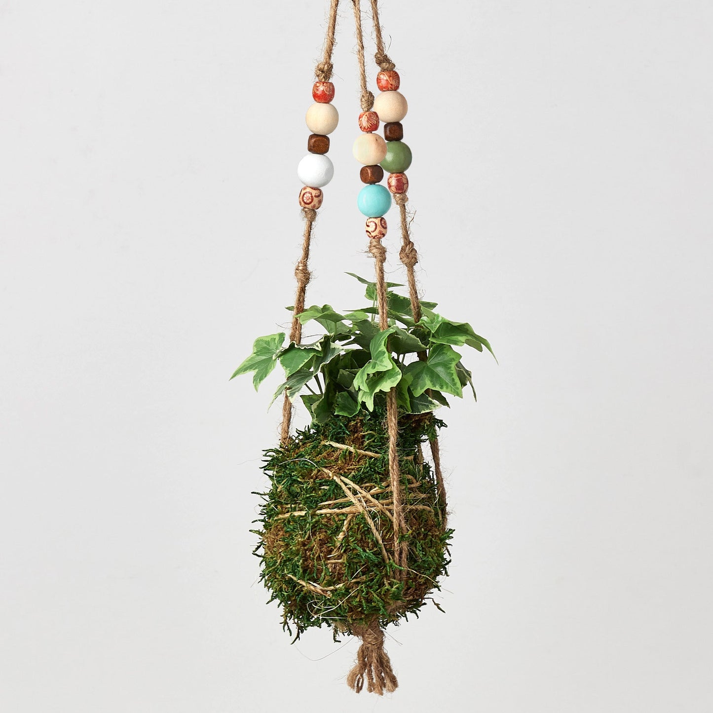 Bead Kokedama Moss Ball Hanging Plant